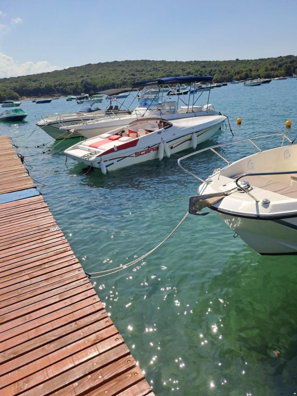 Scarab Wellcraft