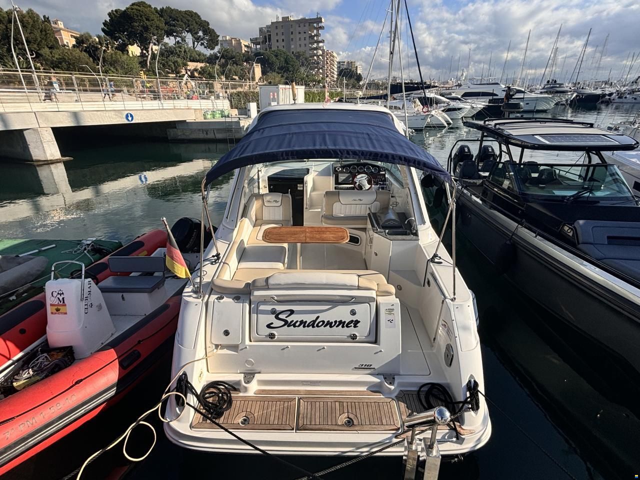 Sea Ray Sundancer 310