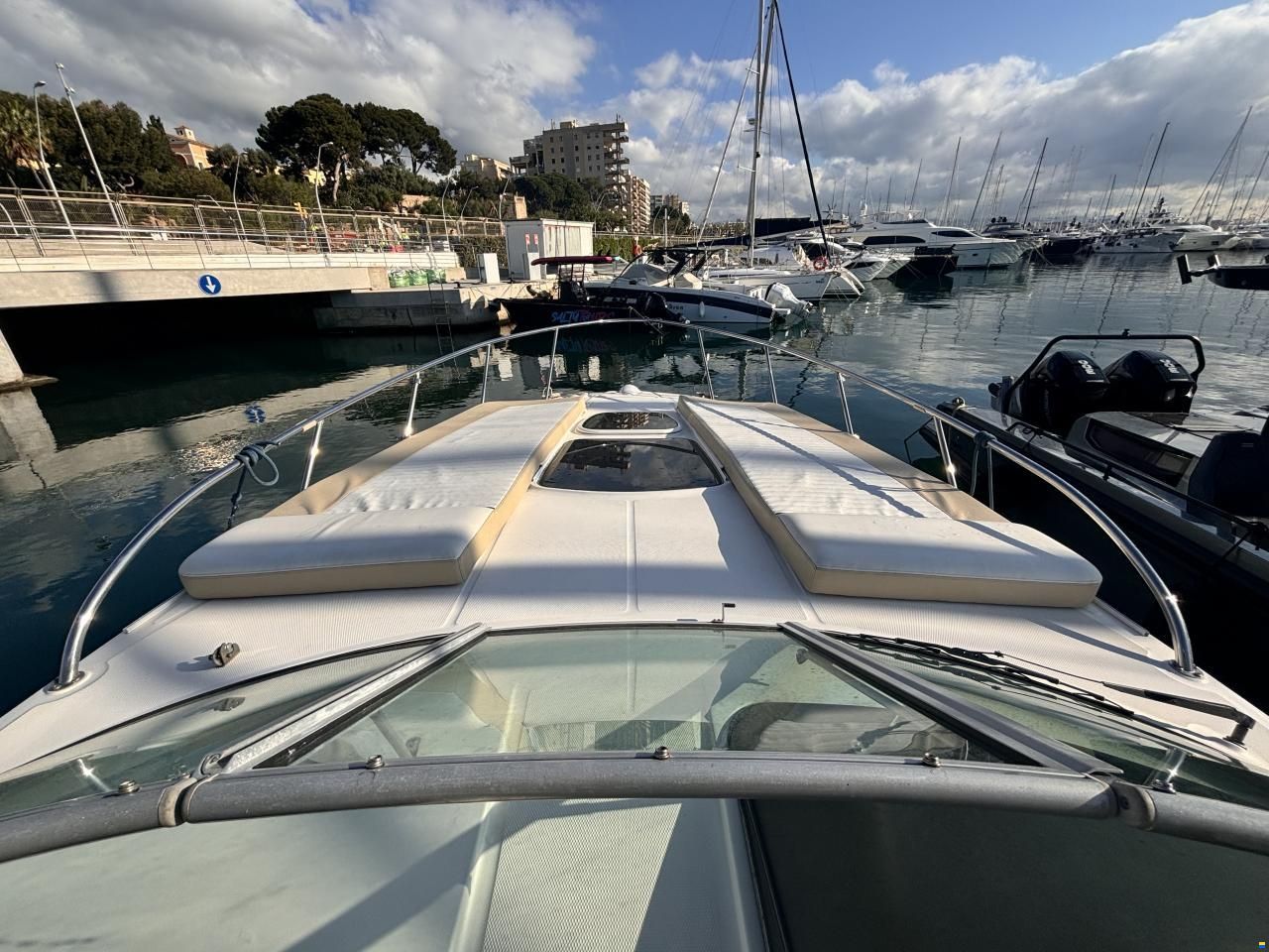 Sea Ray Sundancer 310