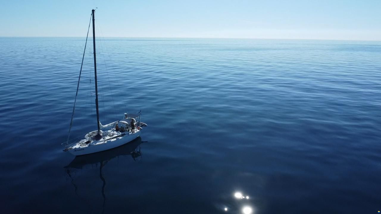 Dufour-Harmonie 36