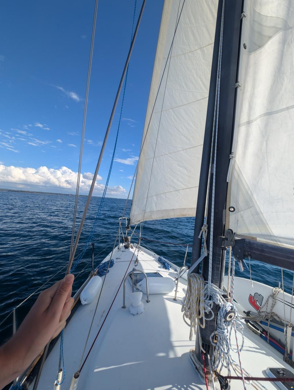 Dufour-Harmonie 36