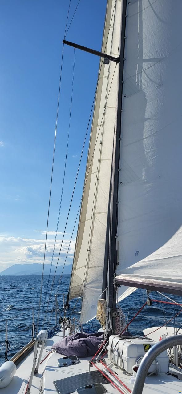 Dufour-Harmonie 36