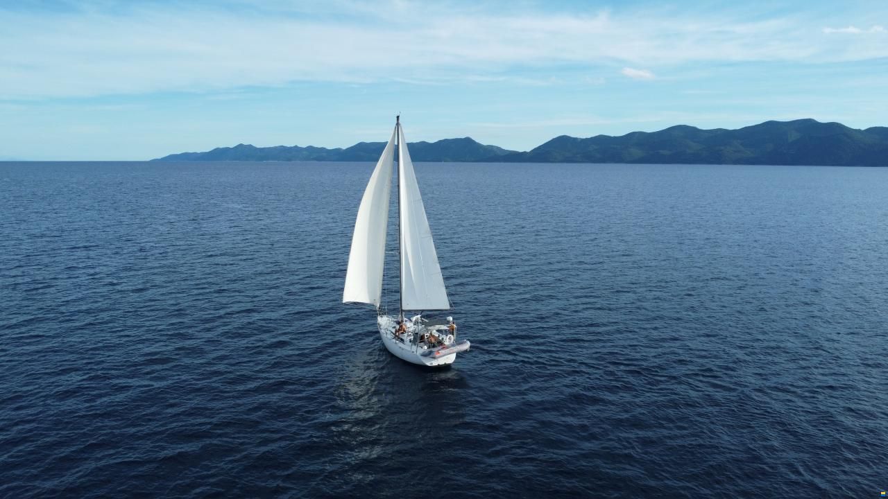 Dufour-Harmonie 36