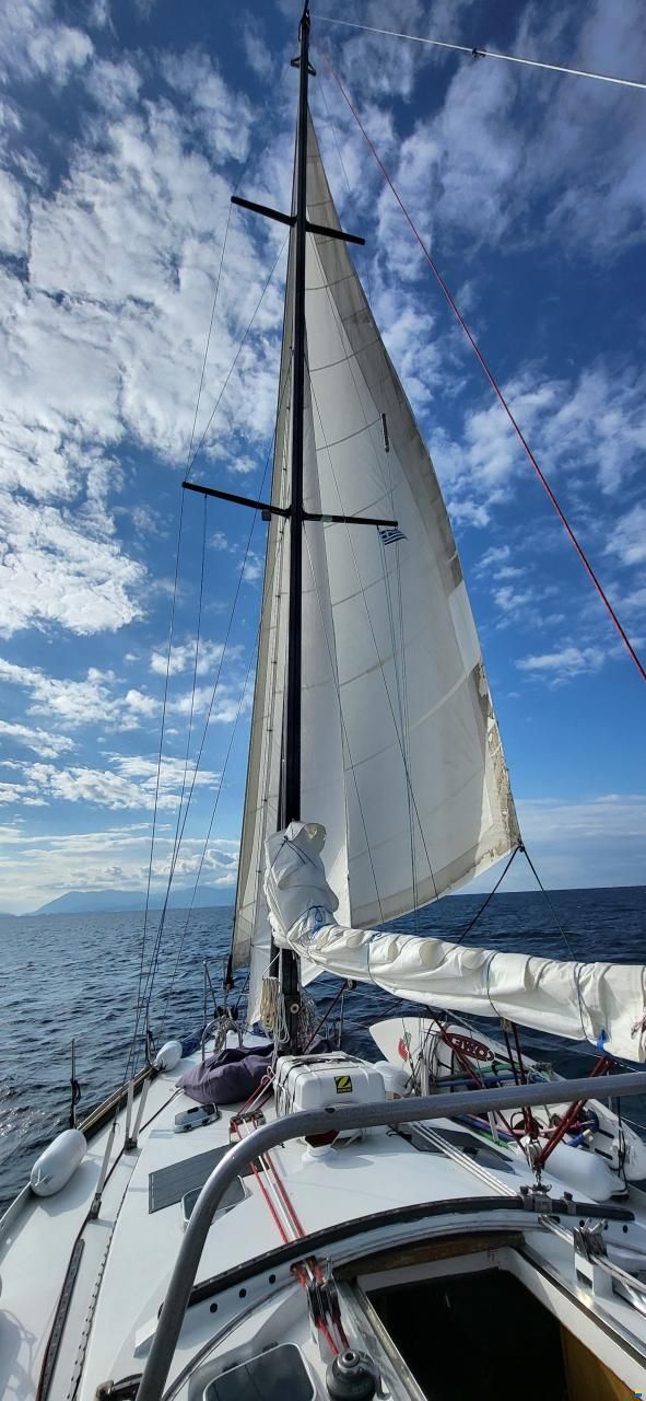 Dufour-Harmonie 36
