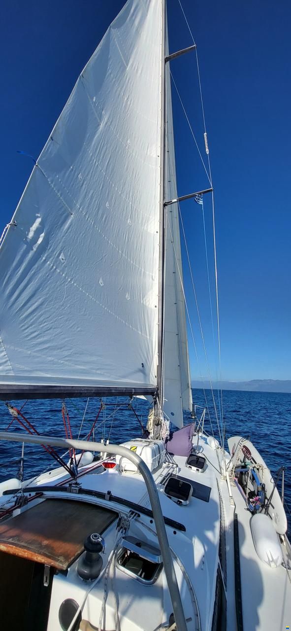 Dufour-Harmonie 36