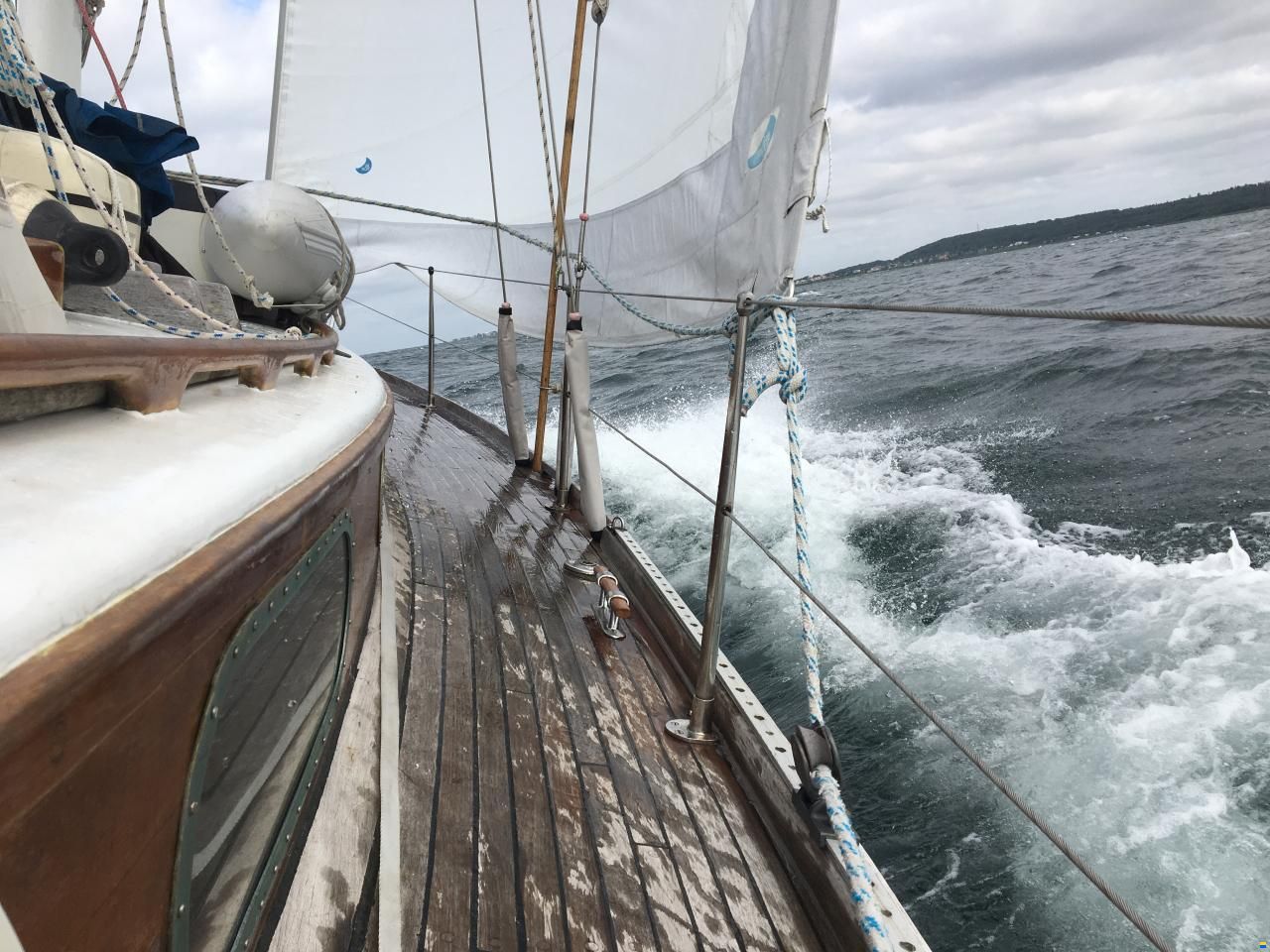 Frans Maas NL Fortunella 34
