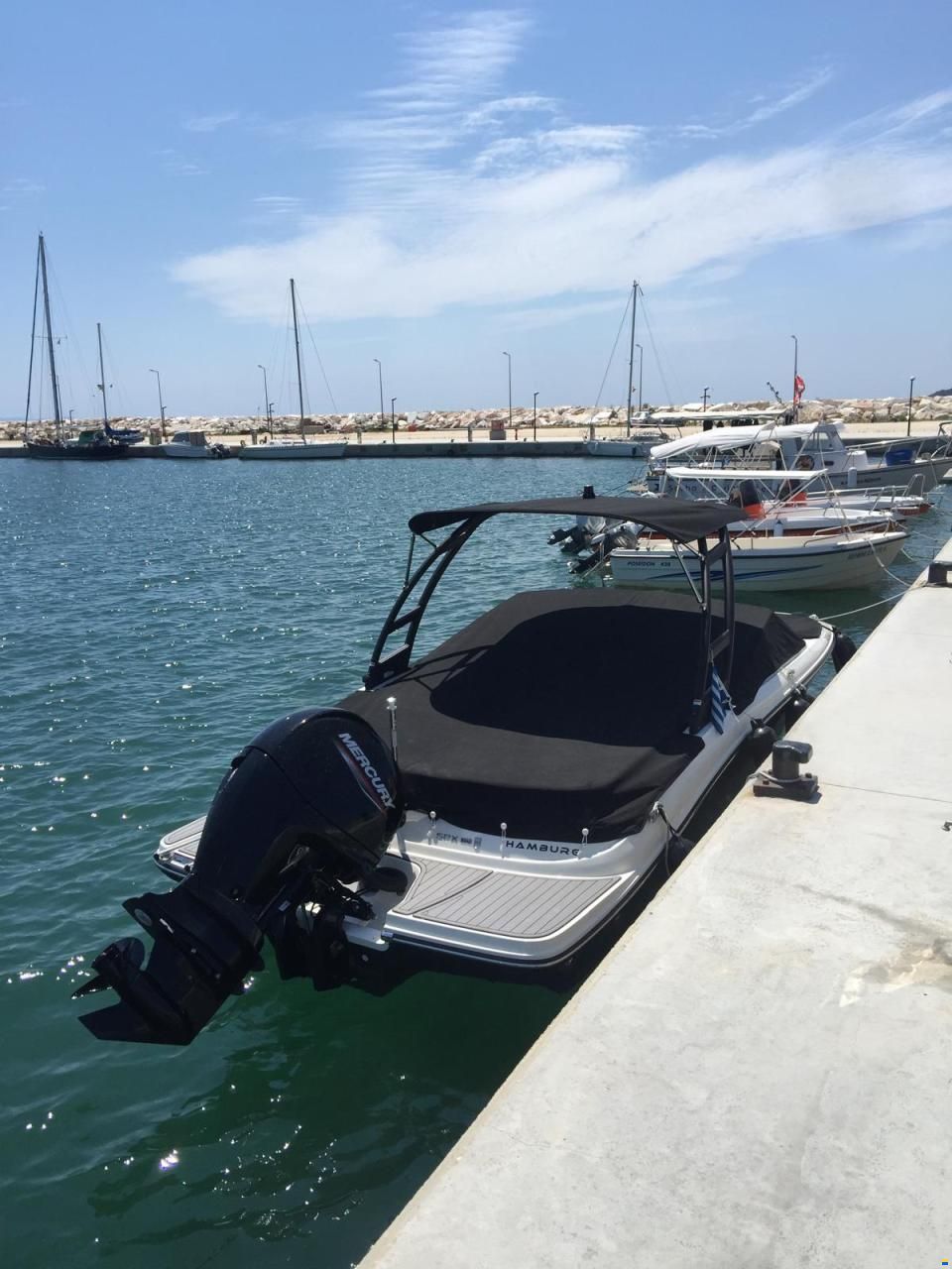 Sea Ray SPX 190 OB