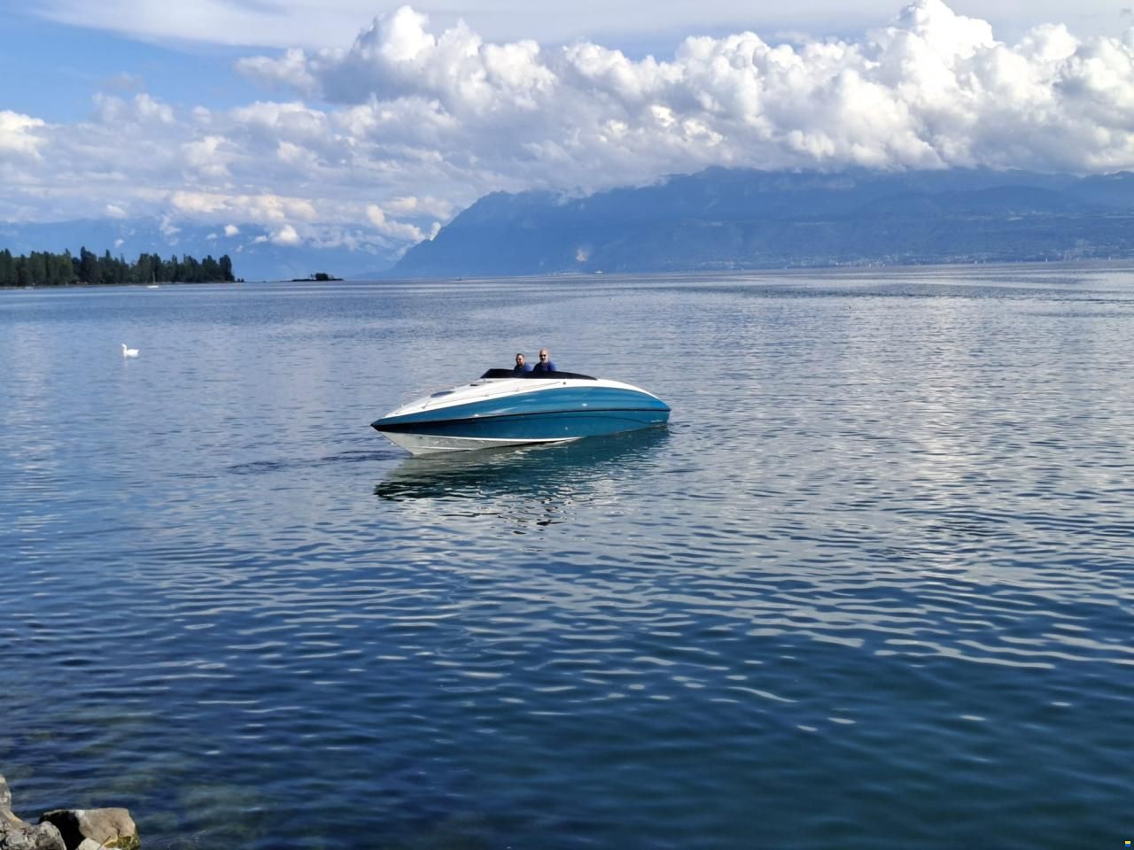Crownline 266 CCR LTD