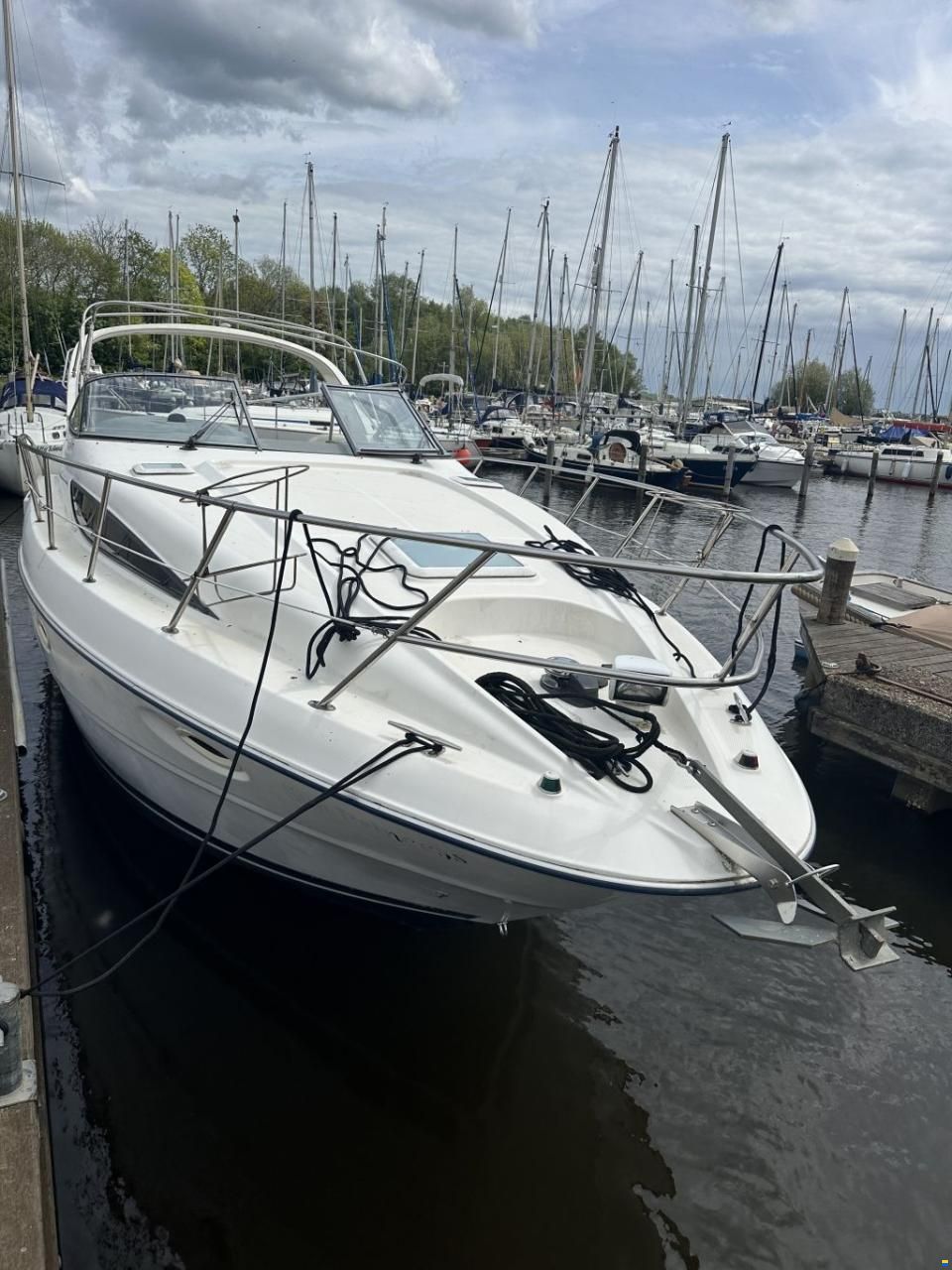 Bayliner 305 Ciera