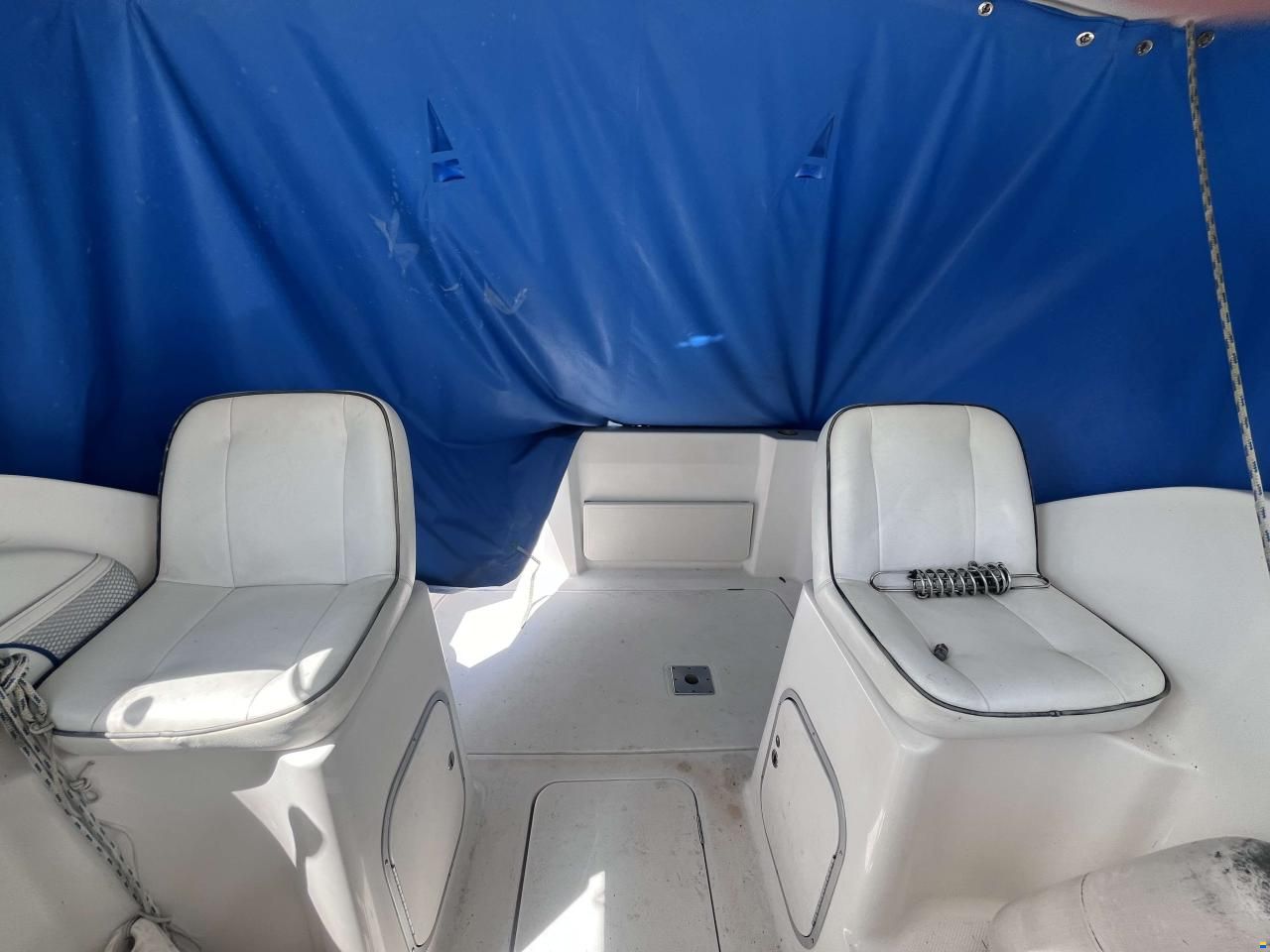 Bayliner 242 EC