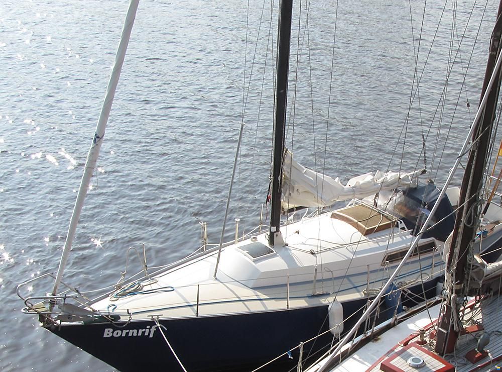 Wibo van Wijk 945