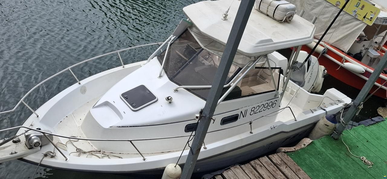 Bayliner TROPHY 2502