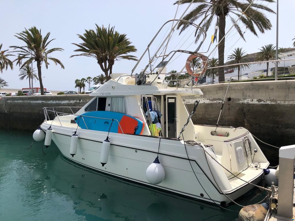 Rodman 970 Sport
