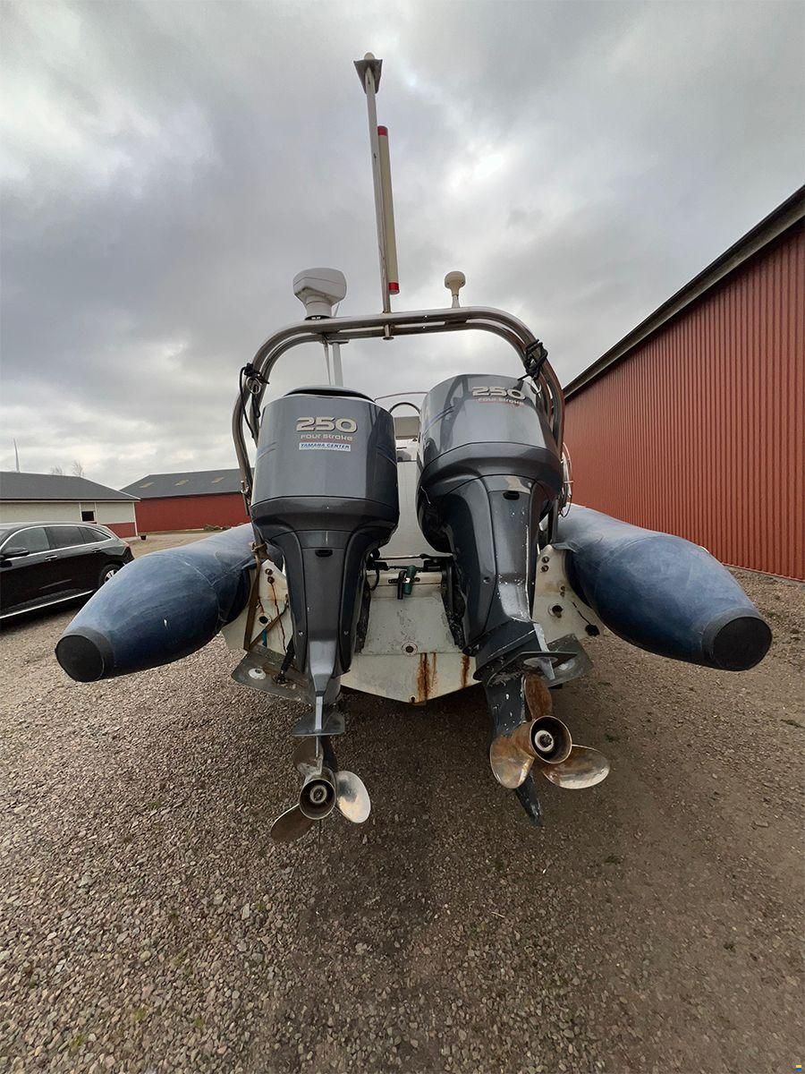 Ribeye RCL 890