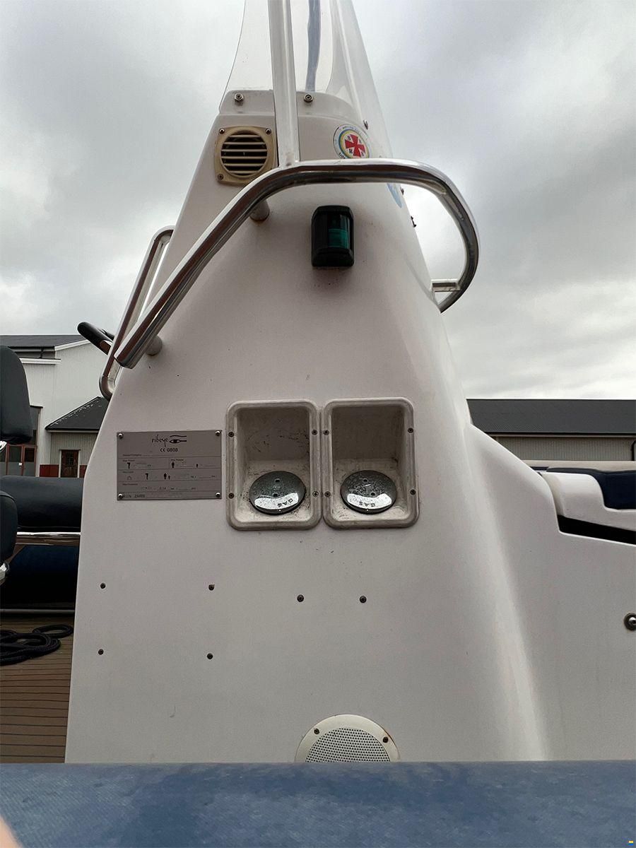 Ribeye RCL 890
