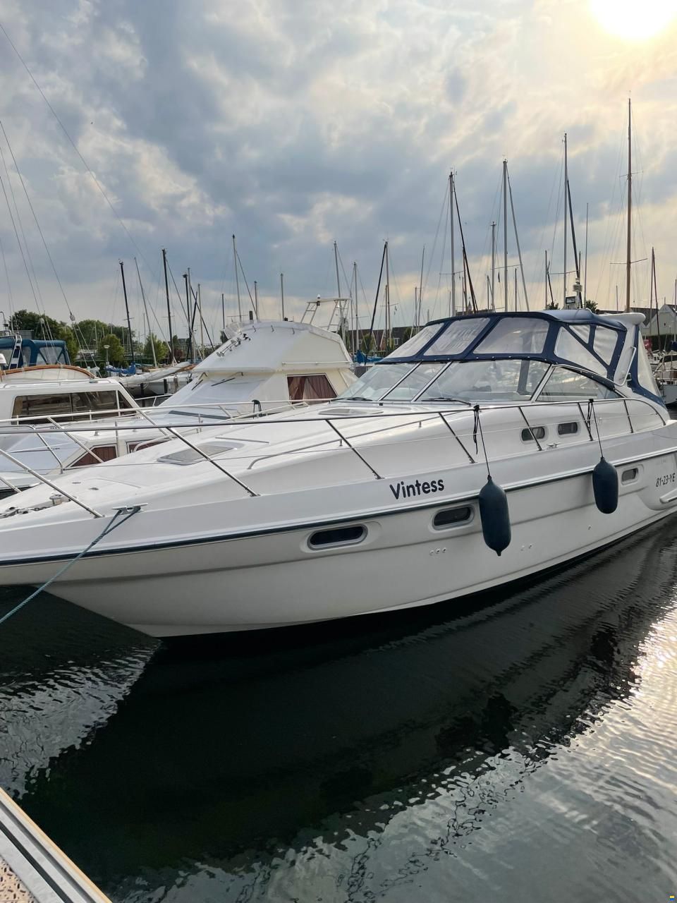 Sealine S37