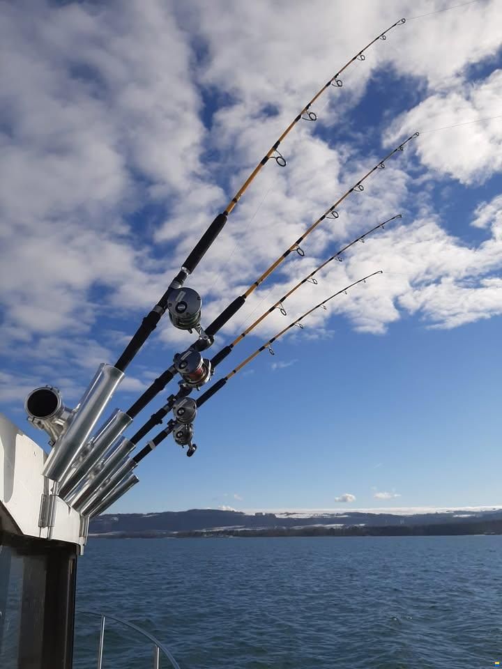 Jeanneau Merry Fisher 755 mrl