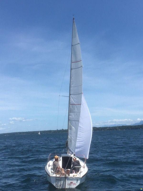 Cormorant Challenger Scout