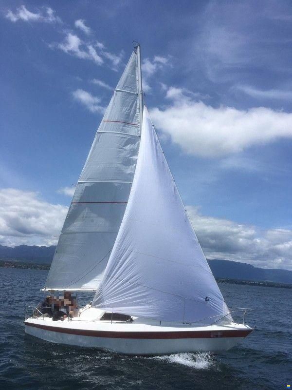 Cormorant Challenger Scout