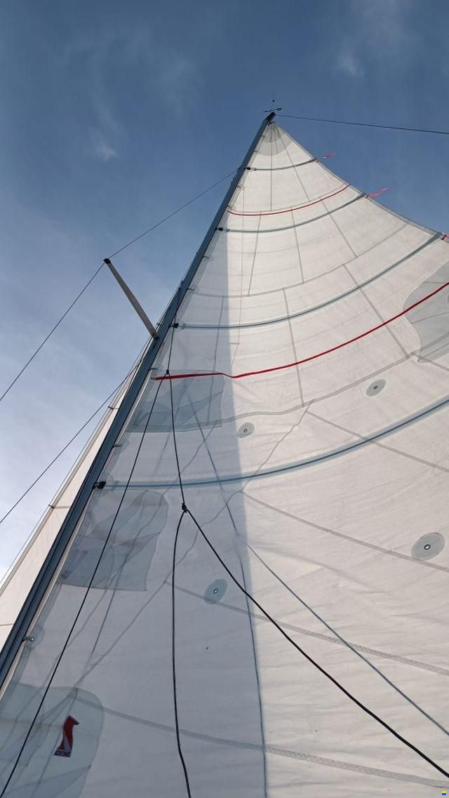 Cormorant Challenger Scout