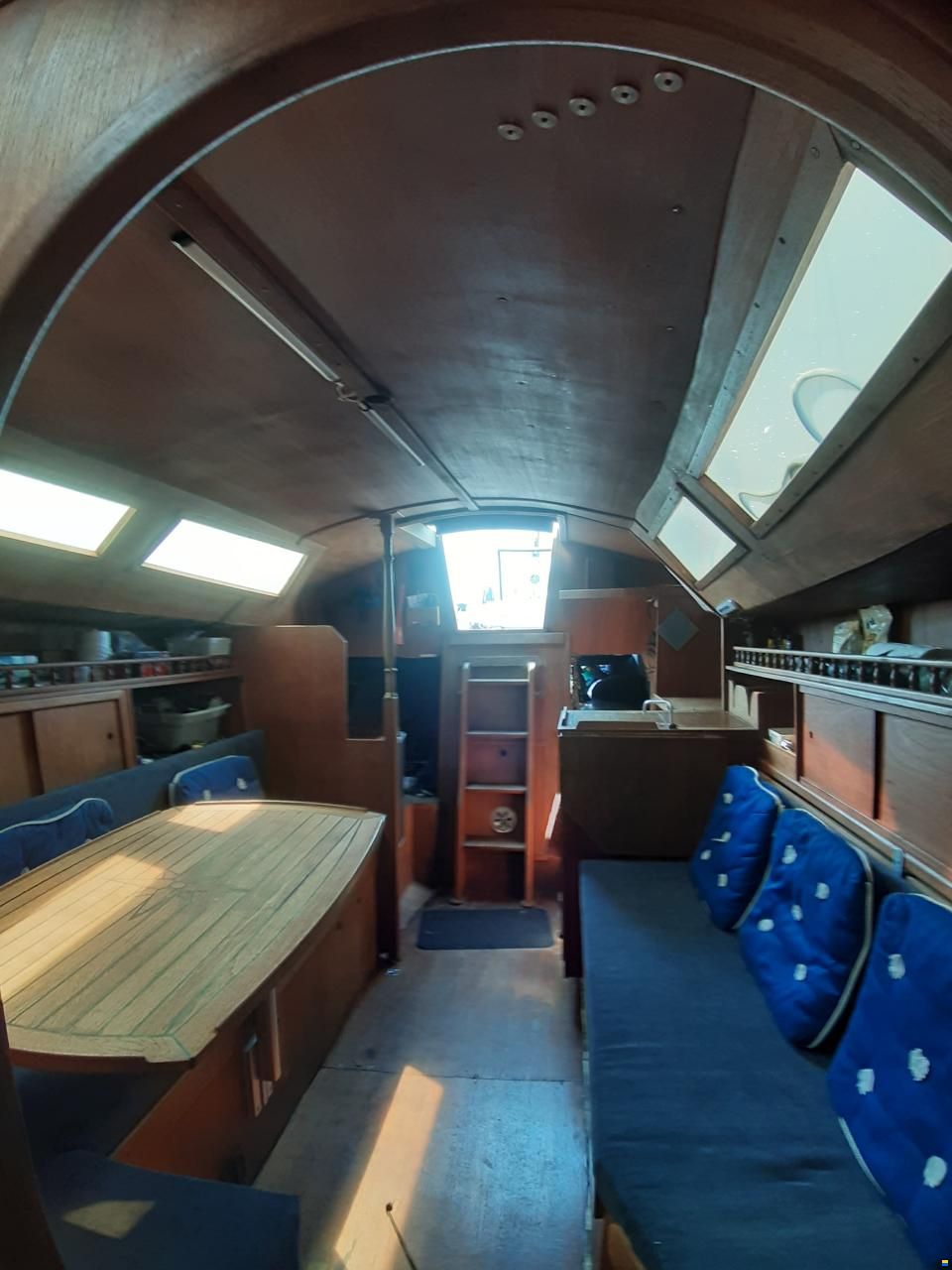 Wasa 55