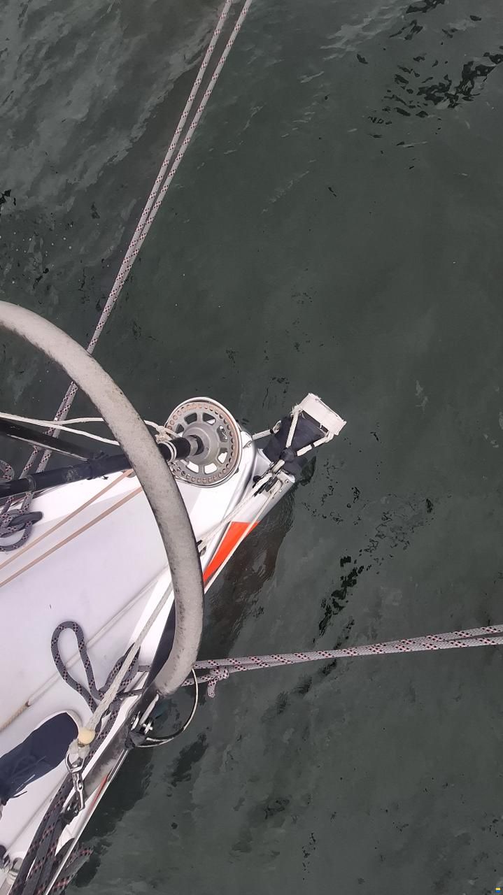 Lion Yachts Class 40