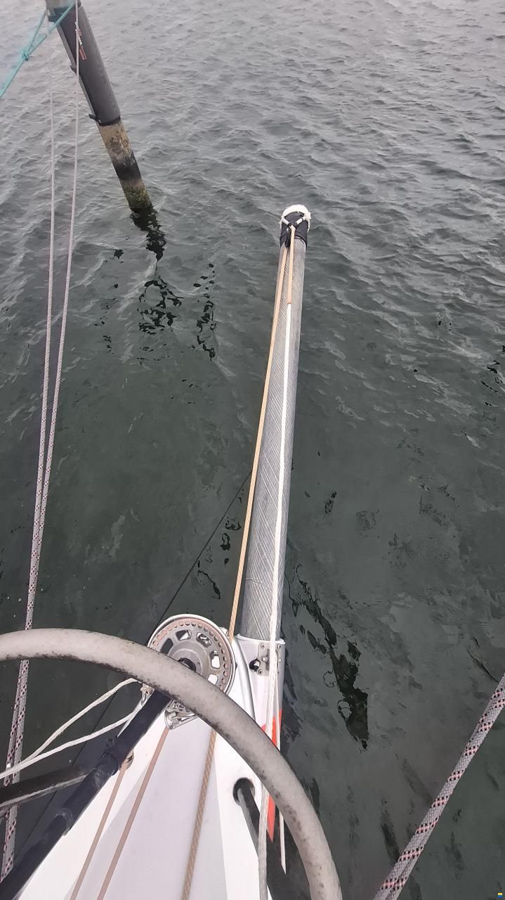 Lion Yachts Class 40