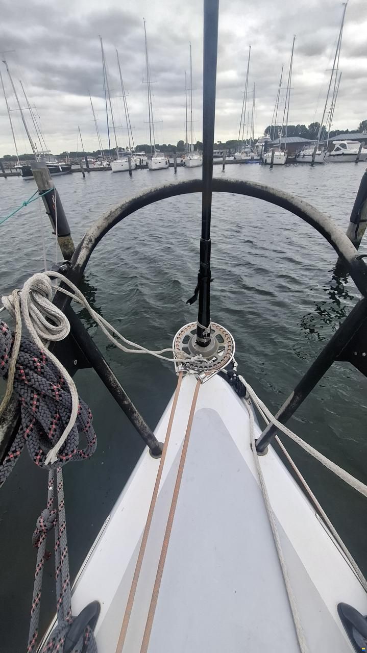 Lion Yachts Class 40