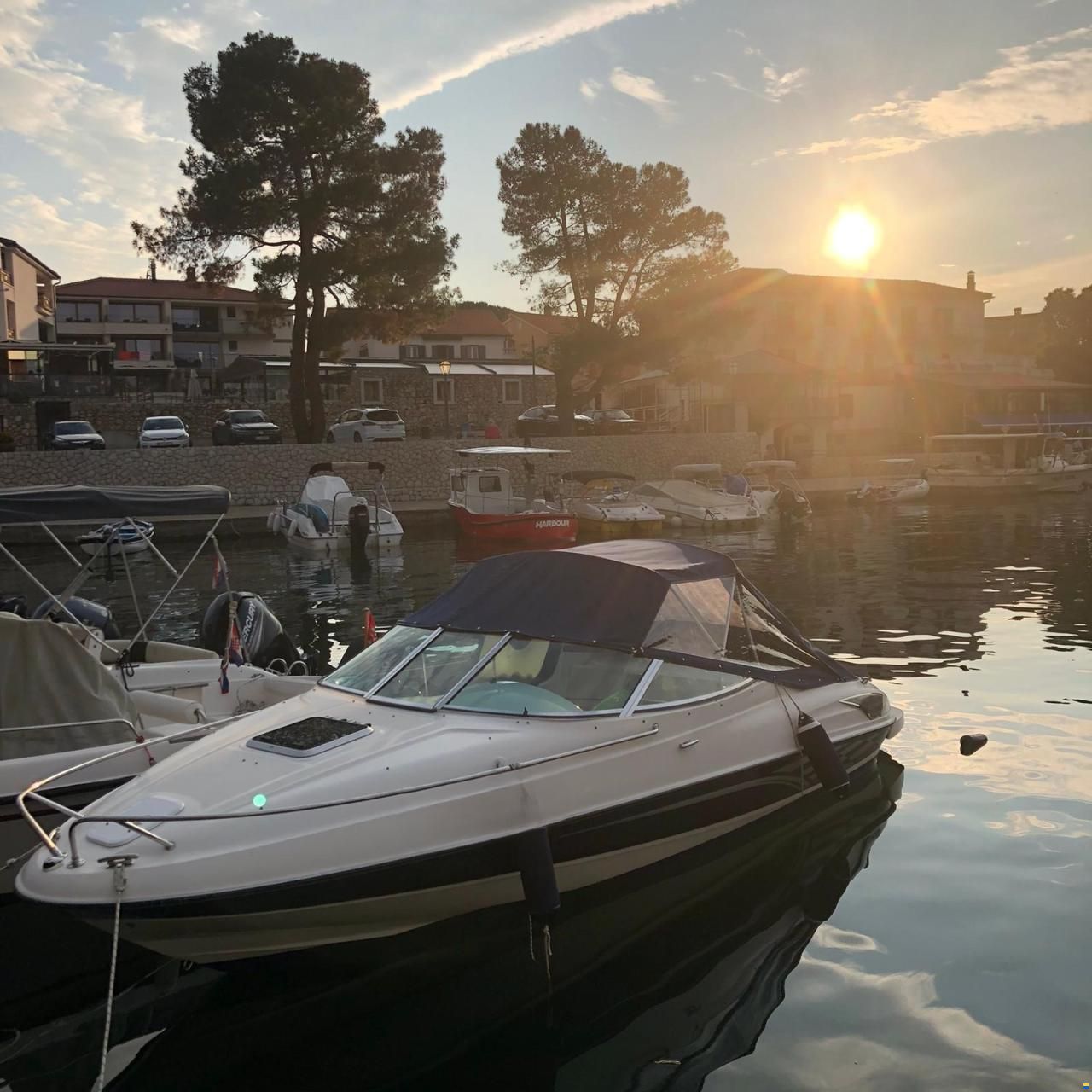 Europe Marine Viper 203