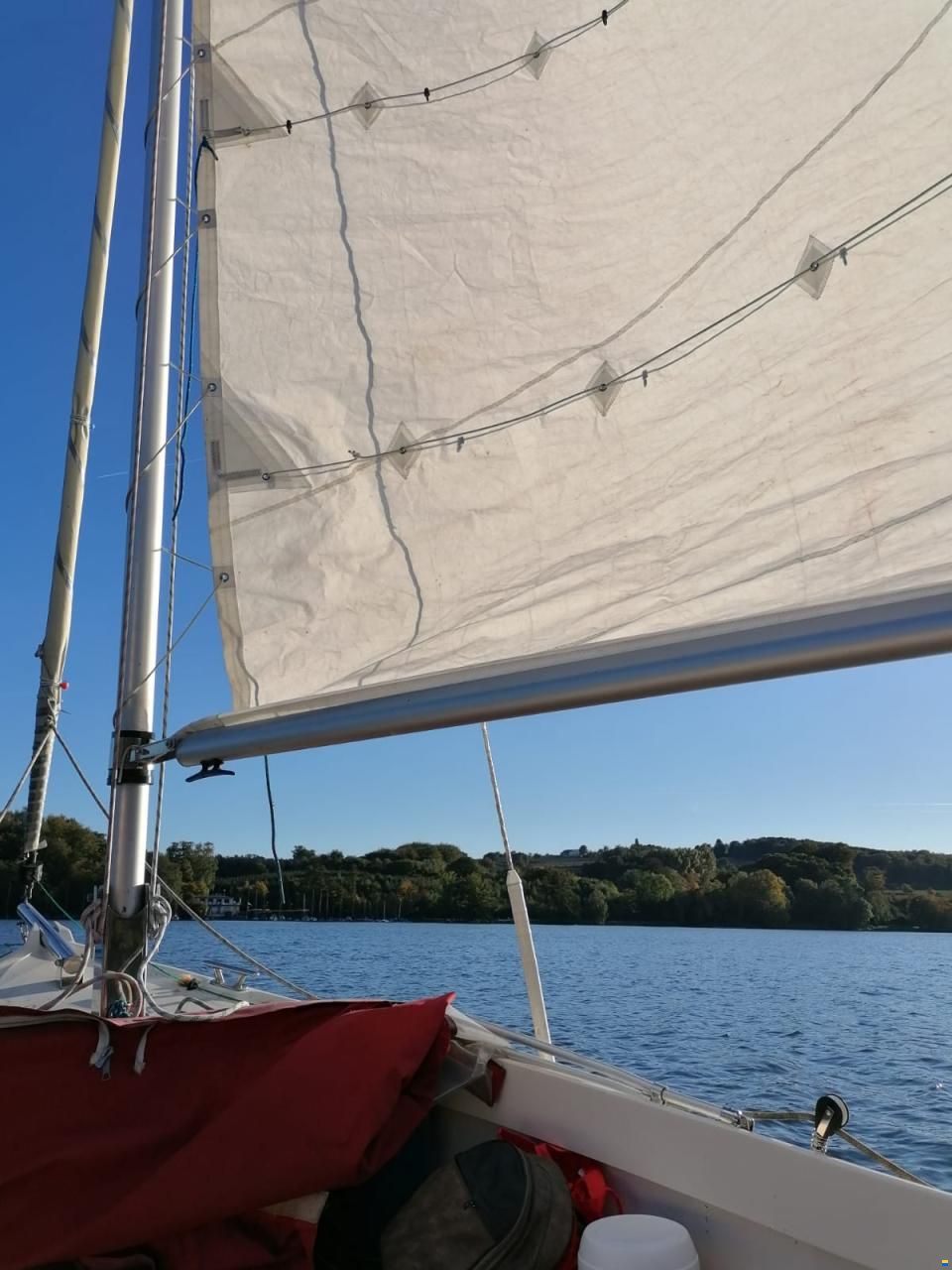 Damarin 19