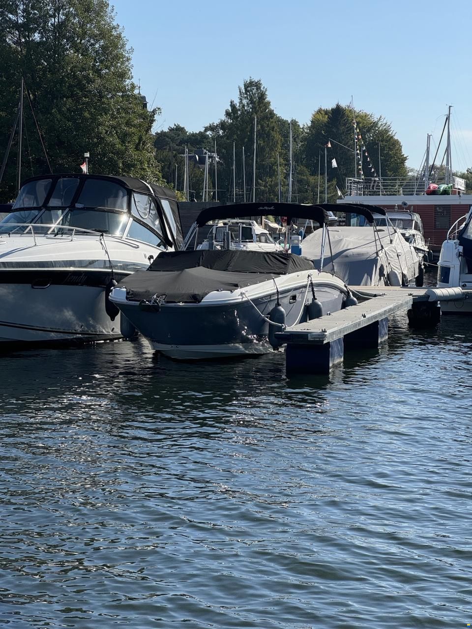 Sea Ray SDX 270 Outboard