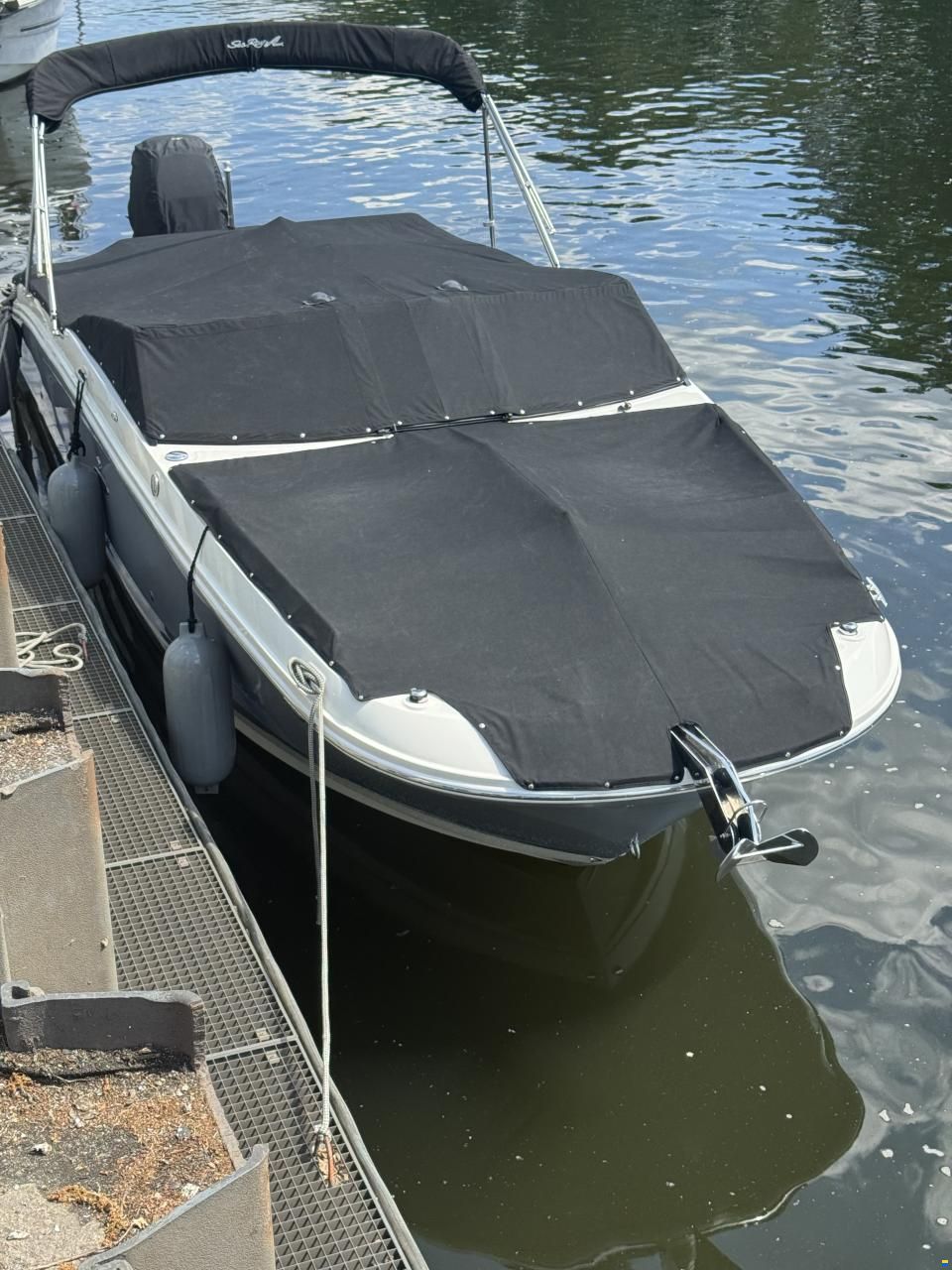Sea Ray SDX 270 Outboard