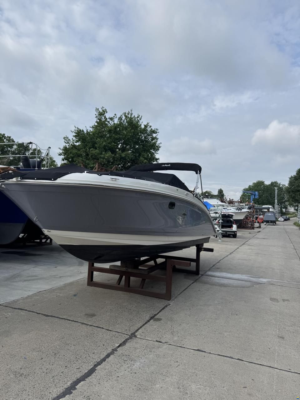 Sea Ray SDX 270 Outboard