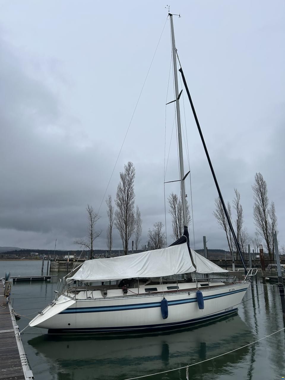Bianca 320