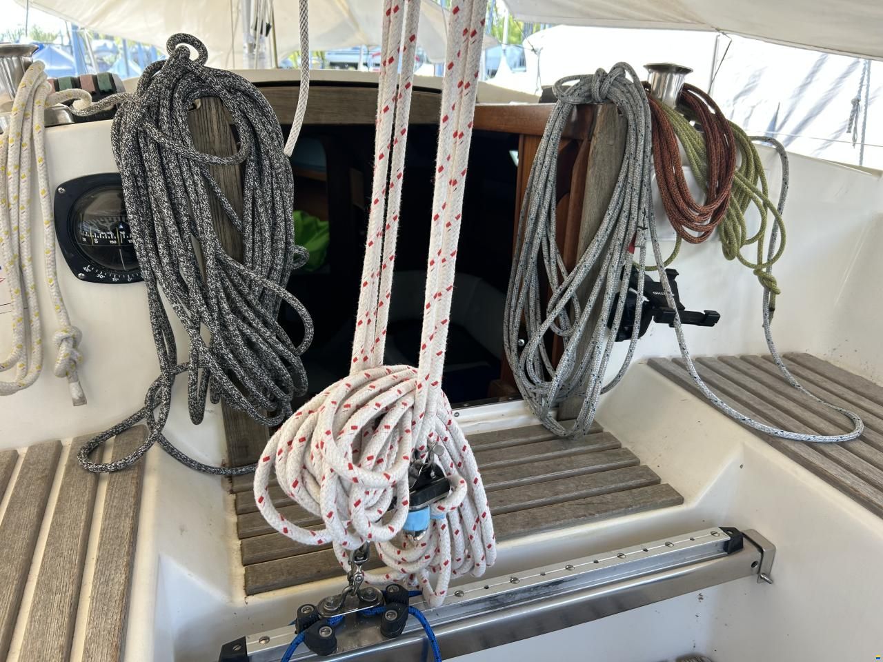 Bianca 320