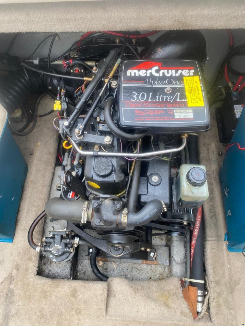 Renken 200cc
