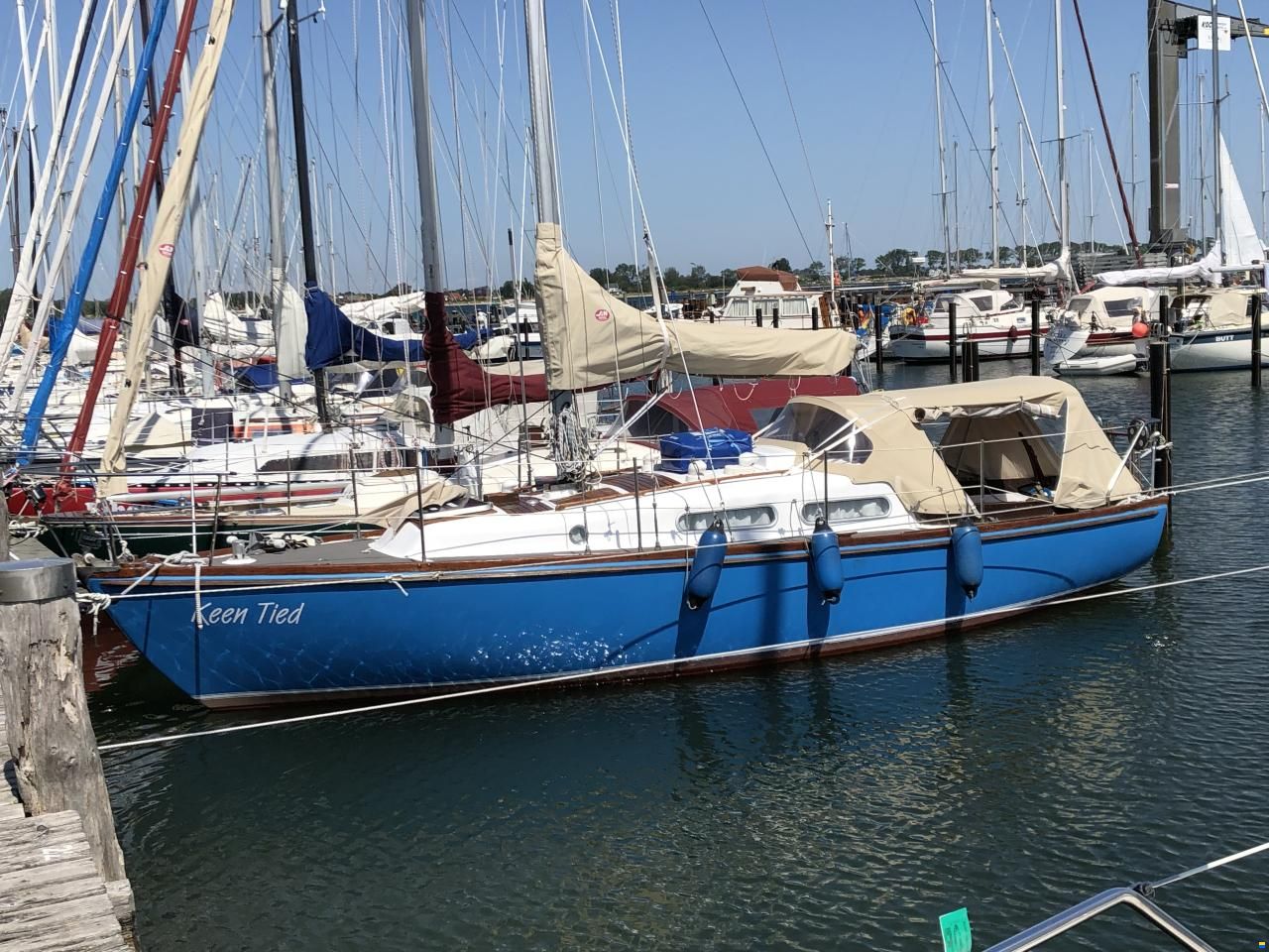 Athena 30