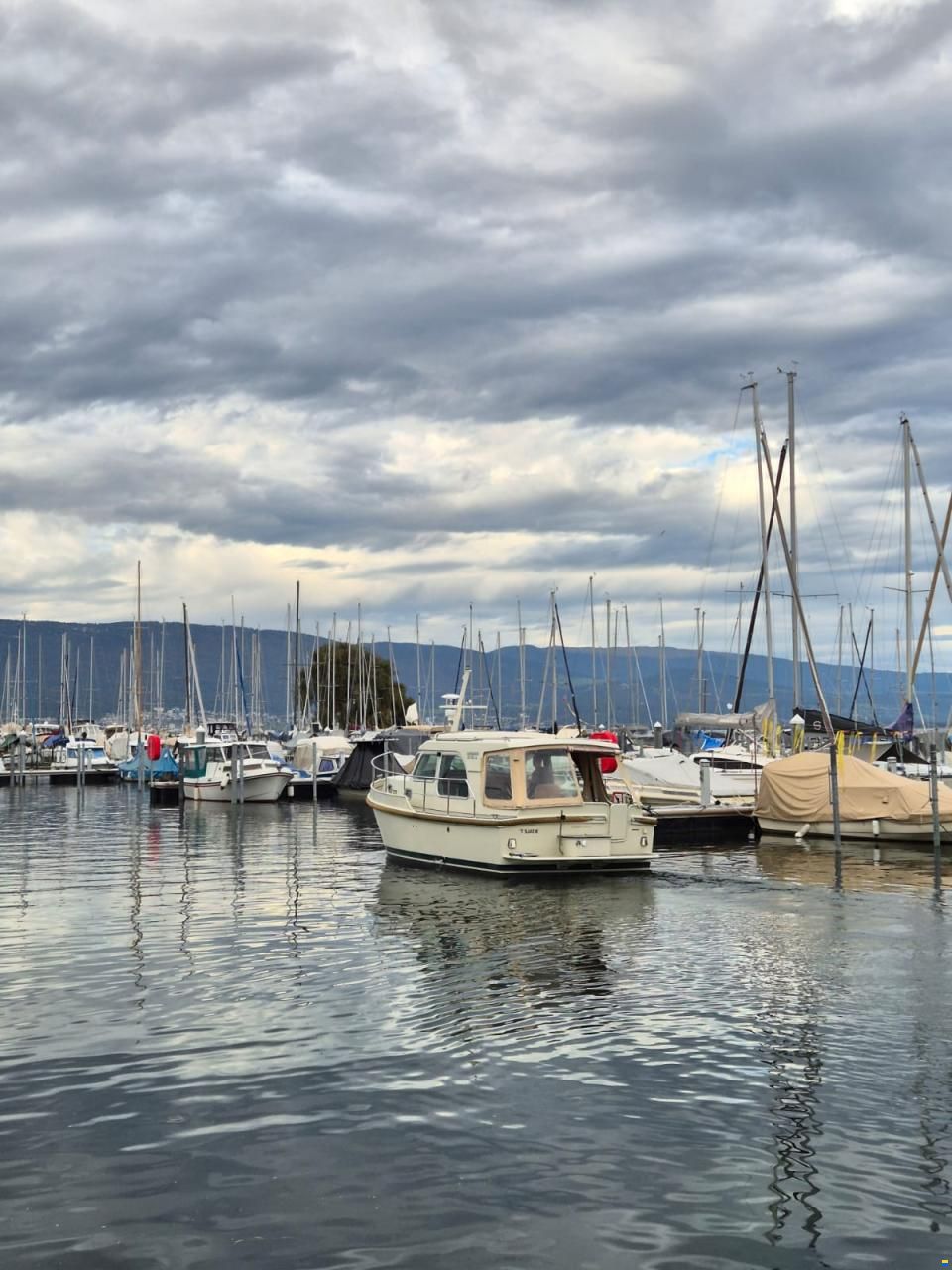 Linssen Grand Sturdy 25.9