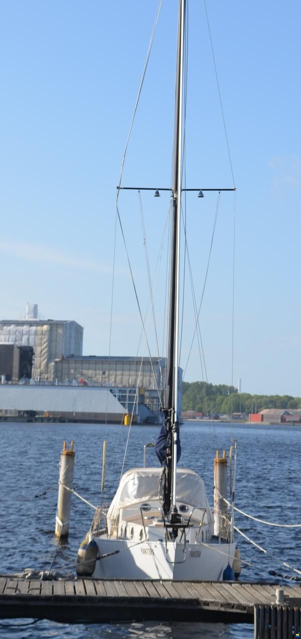 Nivoba Dogger SJ 33
