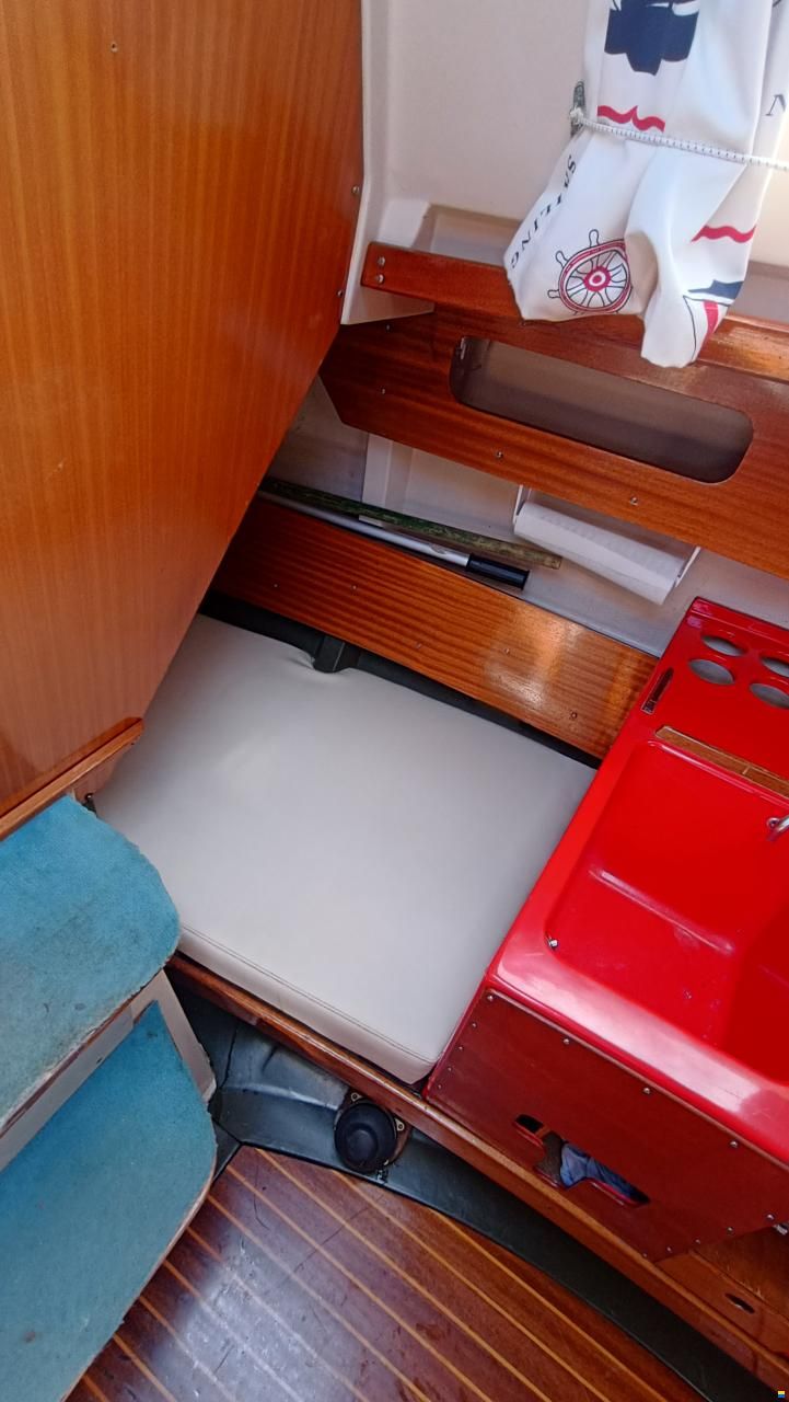 Mallard Écume de mer