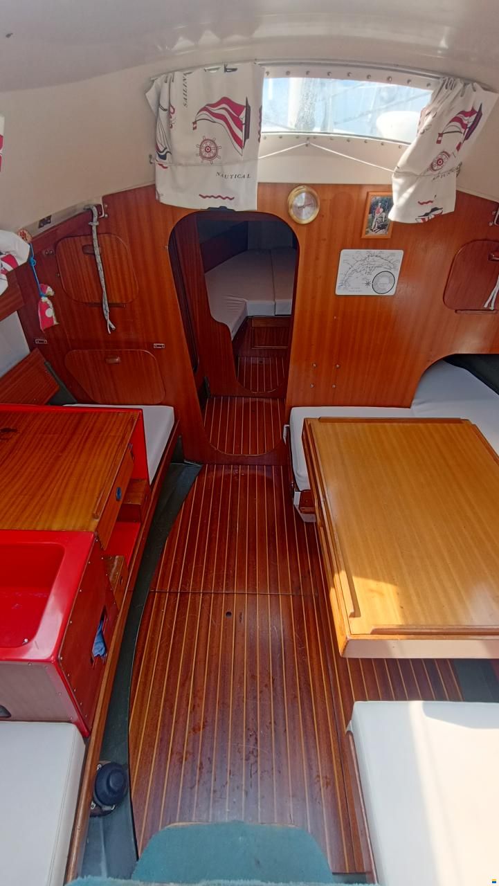 Mallard Écume de mer