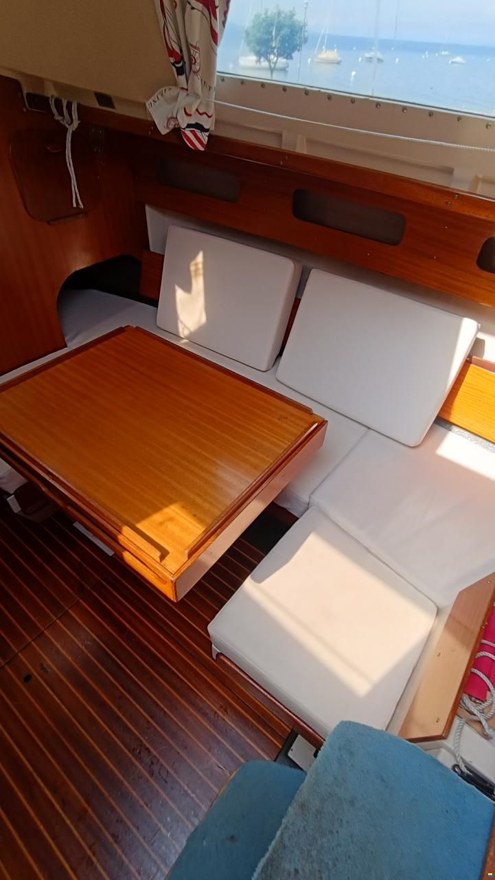 Mallard Écume de mer