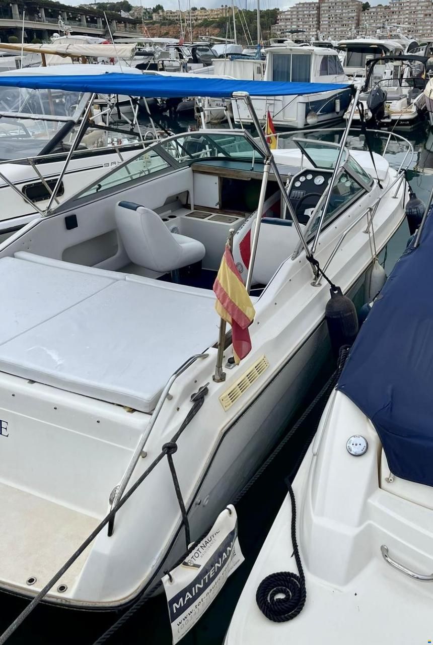Sea Ray 230