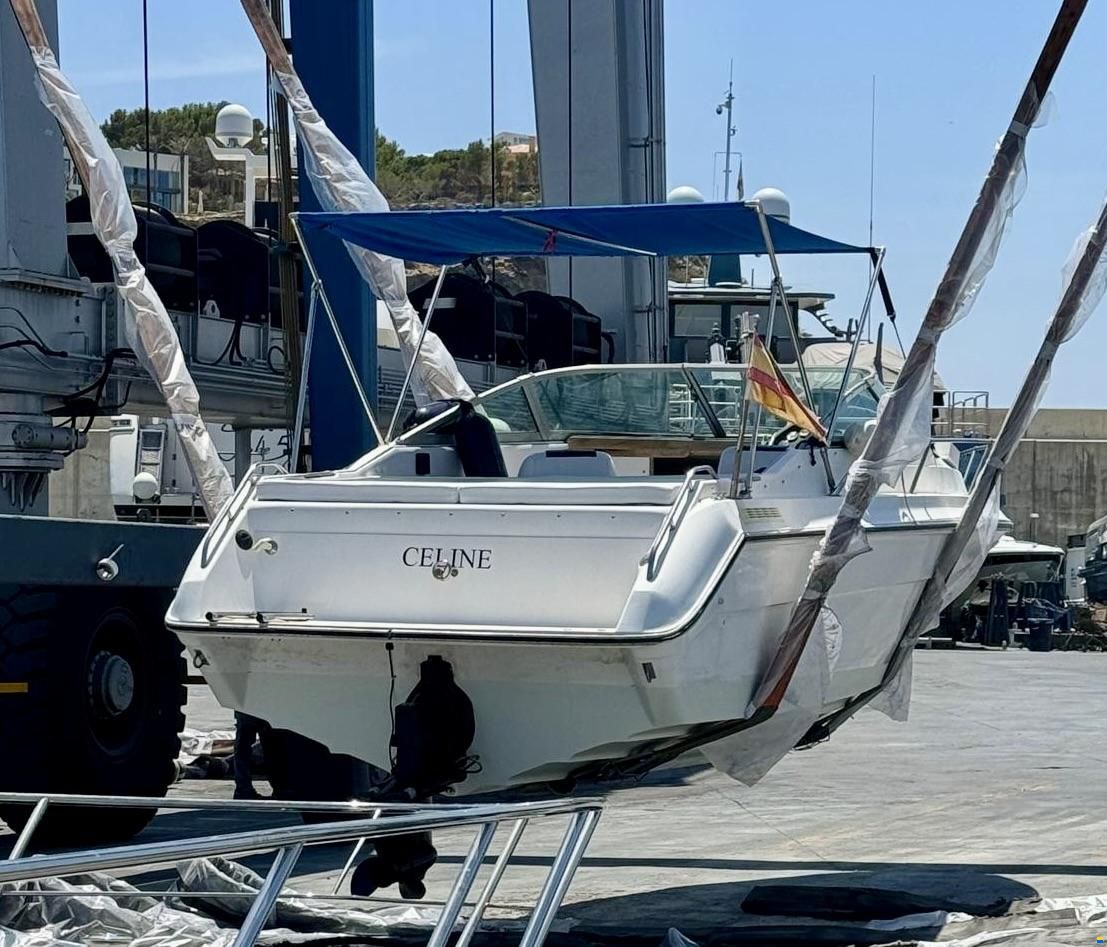 Sea Ray 230