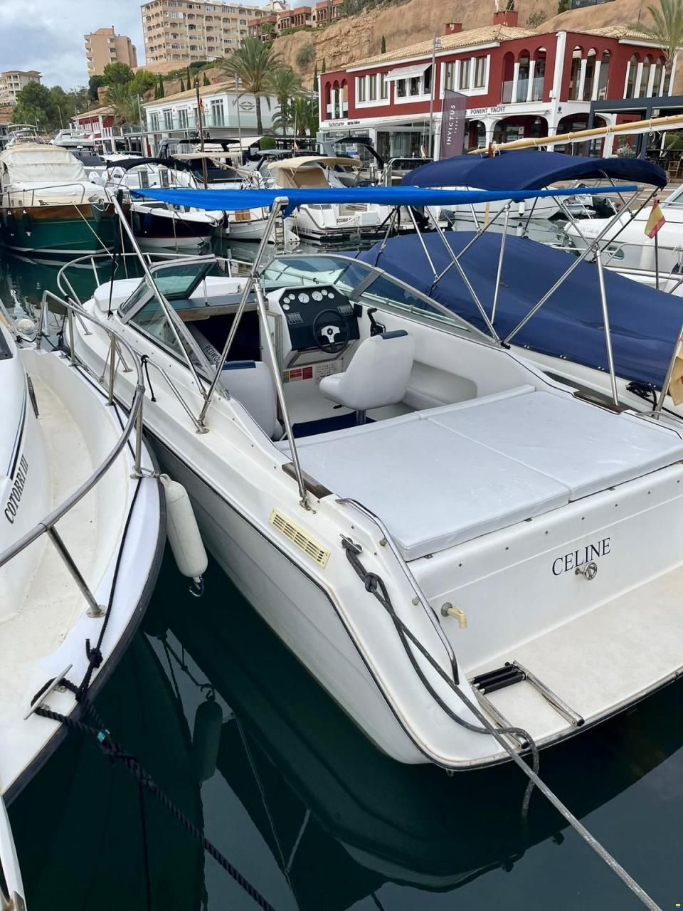 Sea Ray 230