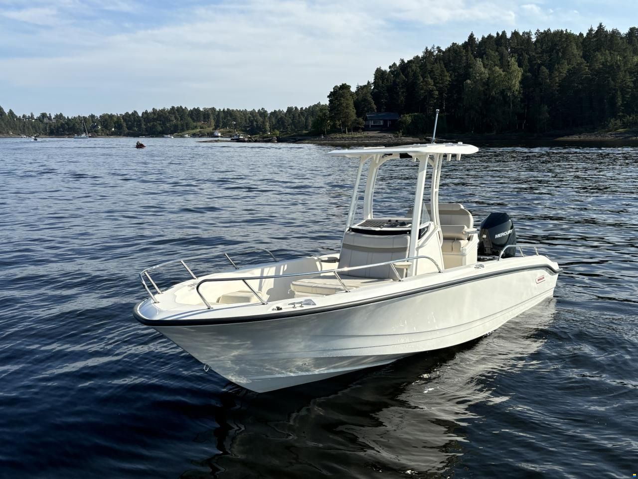 Boston Whaler 250 Dauntless