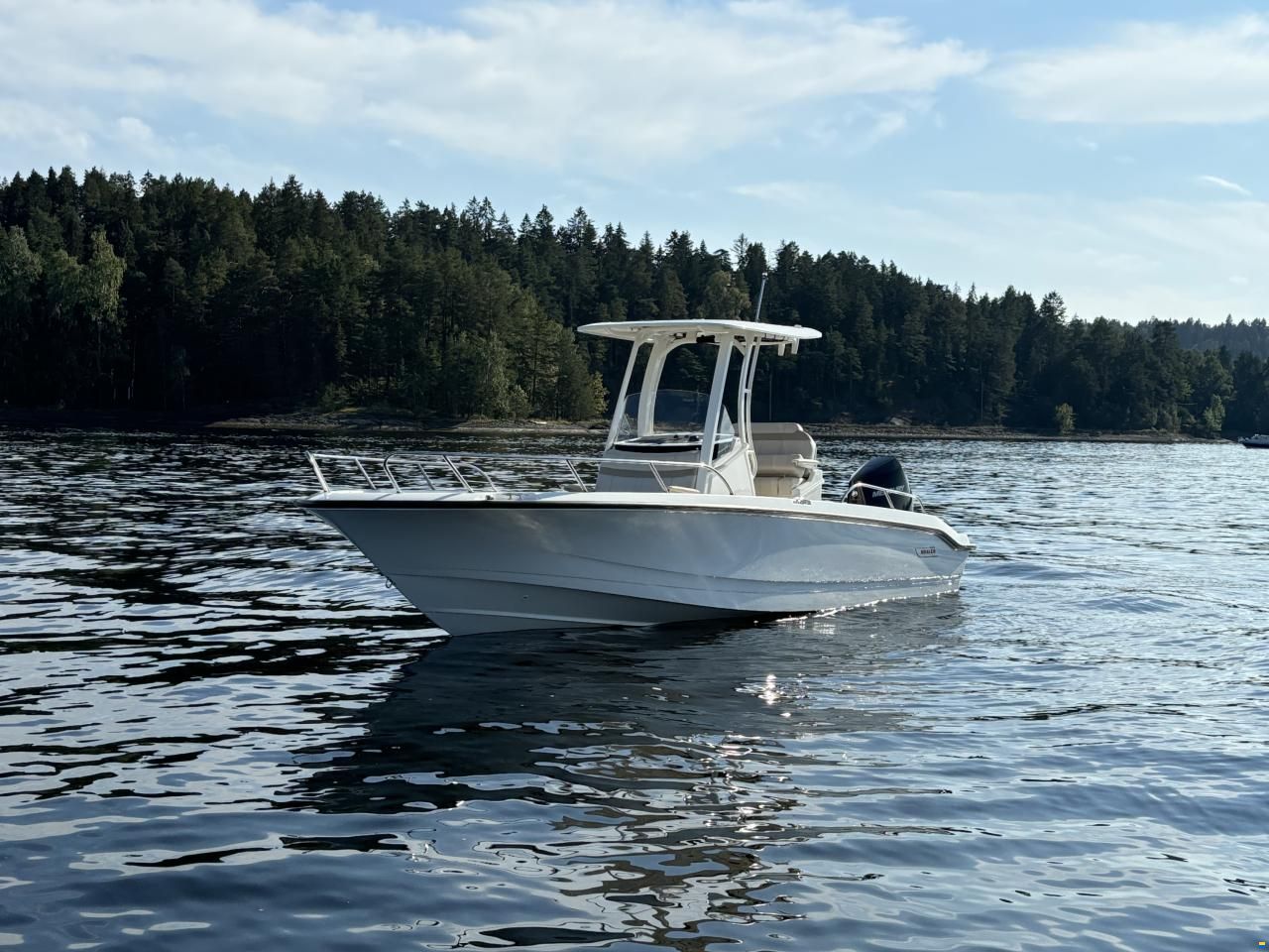 Boston Whaler 250 Dauntless