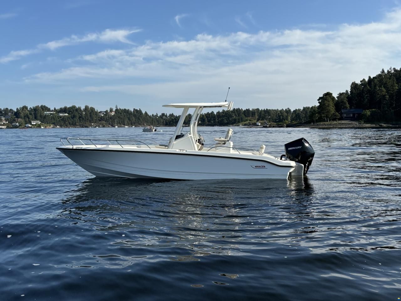 Boston Whaler 250 Dauntless