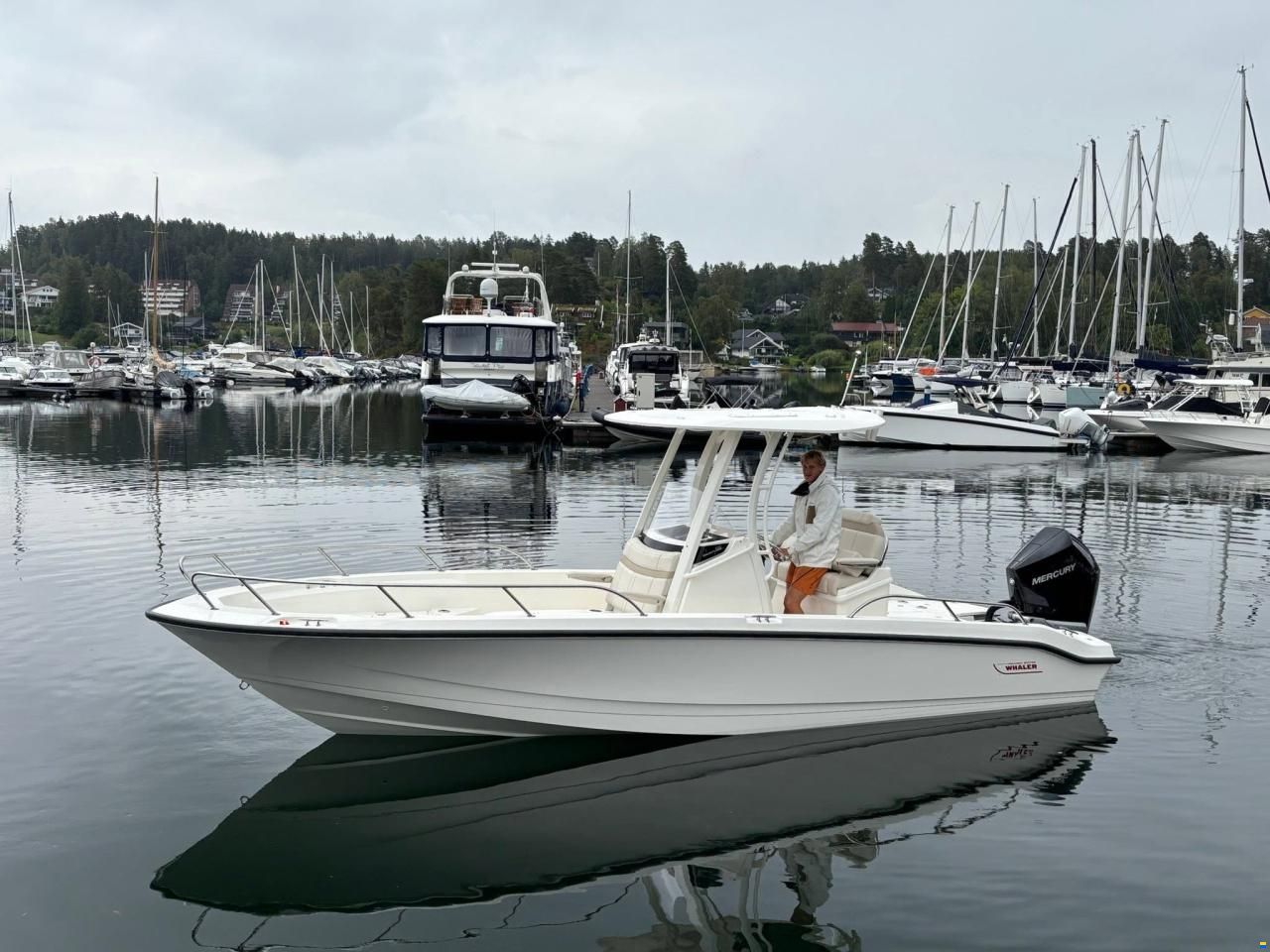 Boston Whaler 250 Dauntless