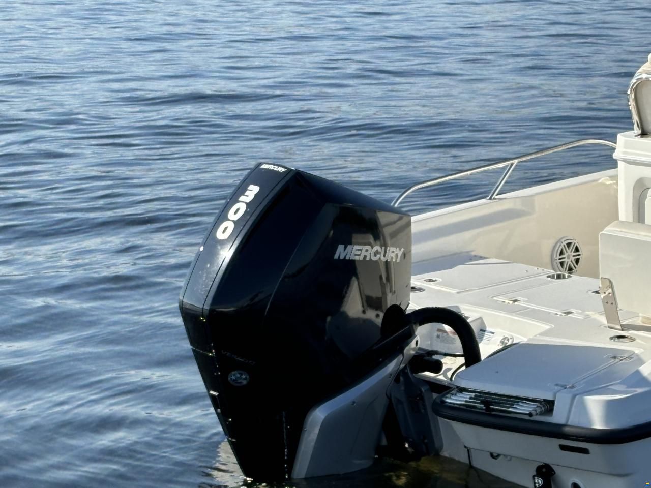 Boston Whaler 250 Dauntless